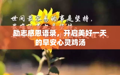 励志感恩语录，开启美好一天的早安心灵鸡汤