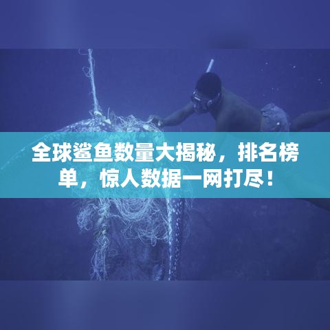全球鲨鱼数量大揭秘，排名榜单，惊人数据一网打尽！