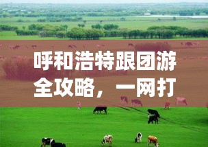 呼和浩特跟团游全攻略，一网打尽，轻松畅游草原城市！