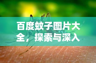财经 第153页