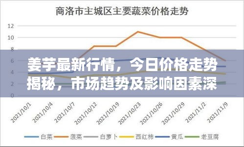 姜芋最新行情，今日价格走势揭秘，市场趋势及影响因素深度剖析