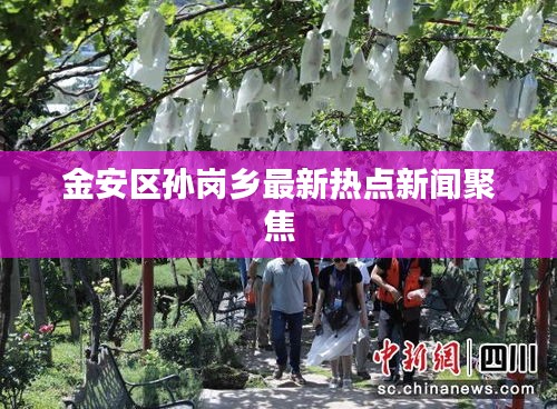 金安区孙岗乡最新热点新闻聚焦