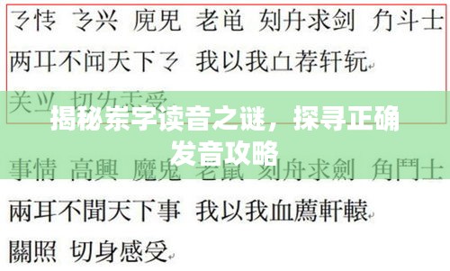揭秘岽字读音之谜，探寻正确发音攻略