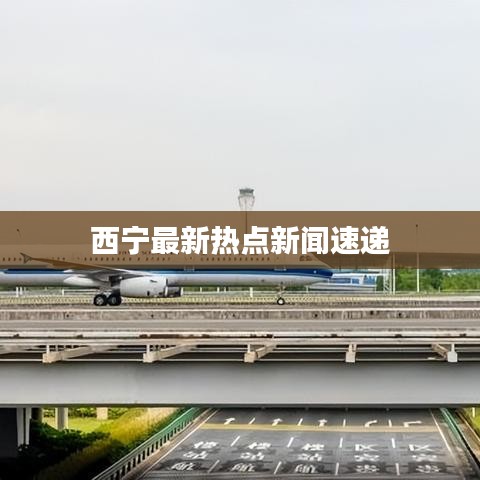 长安米贵 第2页