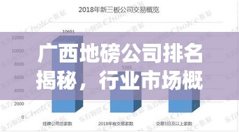 广西地磅公司排名揭秘，行业市场概述一网打尽