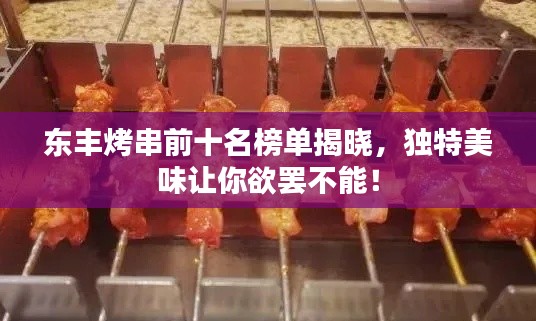 东丰烤串前十名榜单揭晓，独特美味让你欲罢不能！