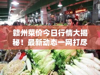 赣州菜价今日行情大揭秘！最新动态一网打尽