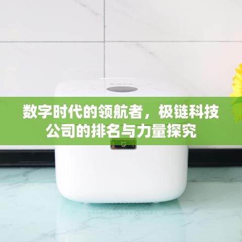 数字时代的领航者，极链科技公司的排名与力量探究