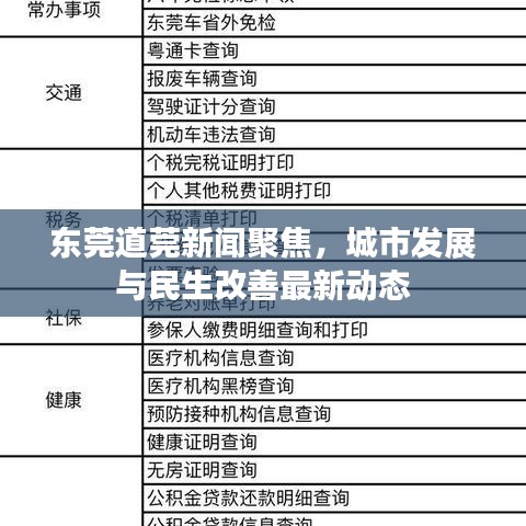 东莞道莞新闻聚焦，城市发展与民生改善最新动态