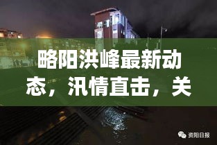 略阳洪峰最新动态，汛情直击，关注洪峰进展