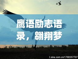 雍荣闲雅 第2页