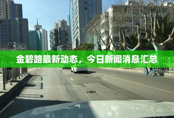 金碧路最新动态，今日新闻消息汇总