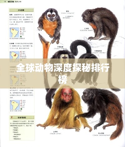 全球动物深度探秘排行榜