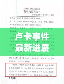 卢卡事件最新进展视频揭秘，事件动态与公众关注焦点全解析