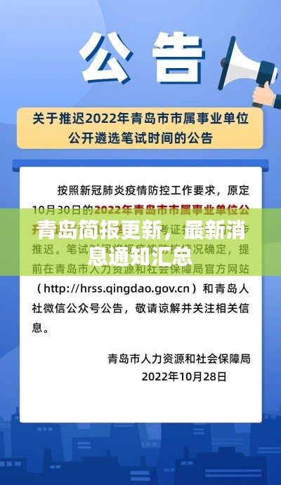 青岛简报更新，最新消息通知汇总