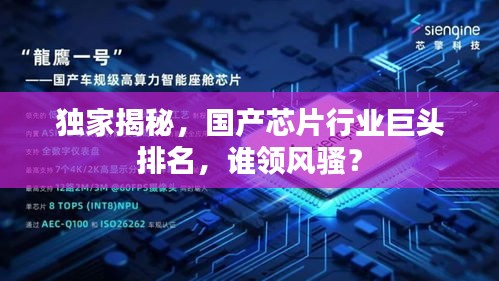 独家揭秘，国产芯片行业巨头排名，谁领风骚？