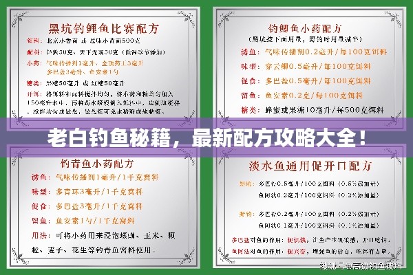 老白钓鱼秘籍，最新配方攻略大全！