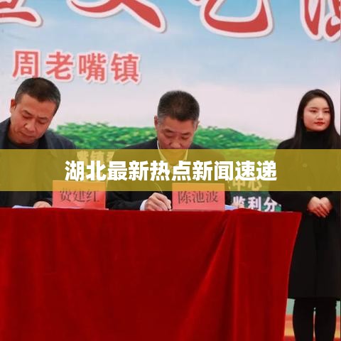 湖北最新热点新闻速递