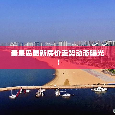 秦皇岛最新房价走势动态曝光！
