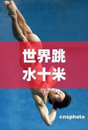 世界跳水十米台霸主排名解析