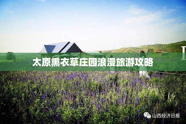 太原熏衣草庄园浪漫旅游攻略