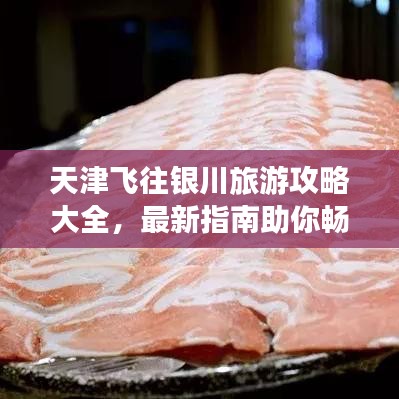 天津飞往银川旅游攻略大全，最新指南助你畅游两地！