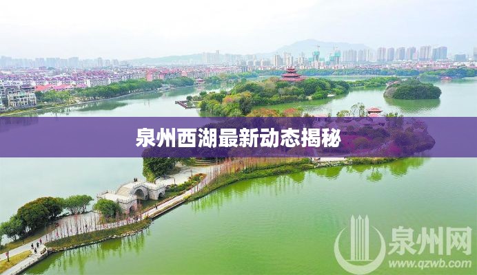 泉州西湖最新动态揭秘