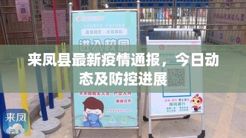 来凤县最新疫情通报，今日动态及防控进展