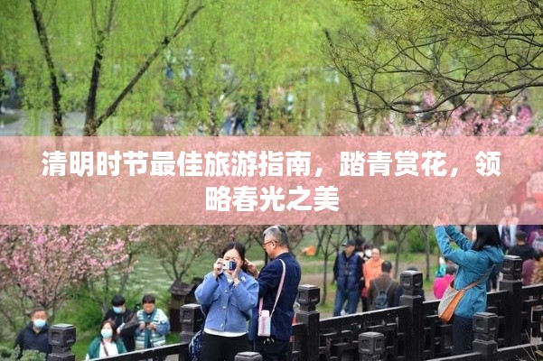 清明时节最佳旅游指南，踏青赏花，领略春光之美