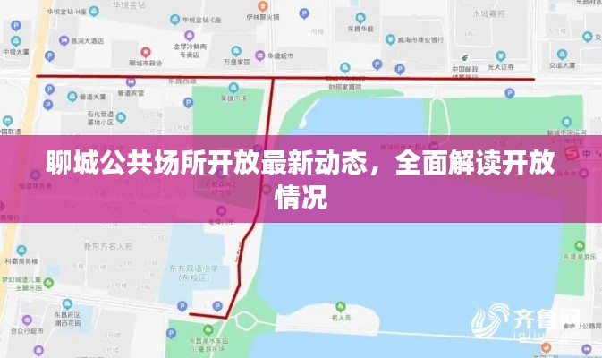 聊城公共场所开放最新动态，全面解读开放情况