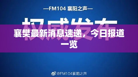 如鸟兽散 第2页