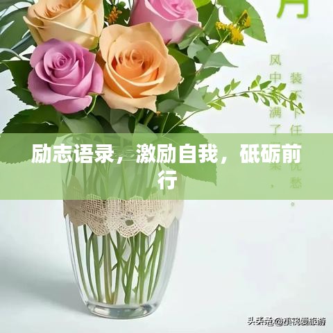 衣不重采 第2页
