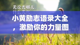 小黄励志语录大全，激励你的力量图片呈现！