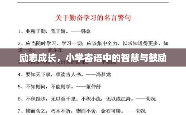 励志成长，小学寄语中的智慧与鼓励