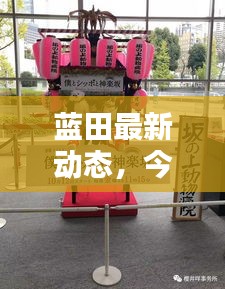 蓝田最新动态，今日消息一网打尽！