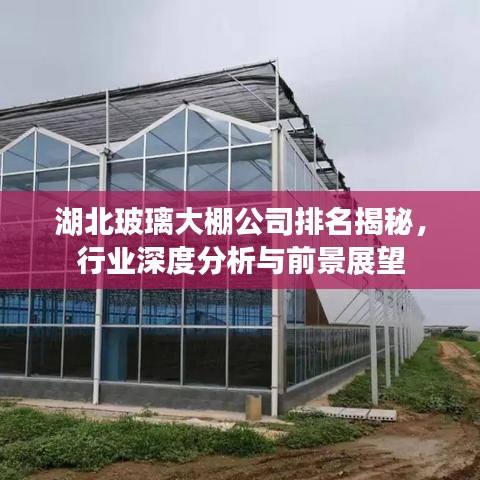 湖北玻璃大棚公司排名揭秘，行业深度分析与前景展望