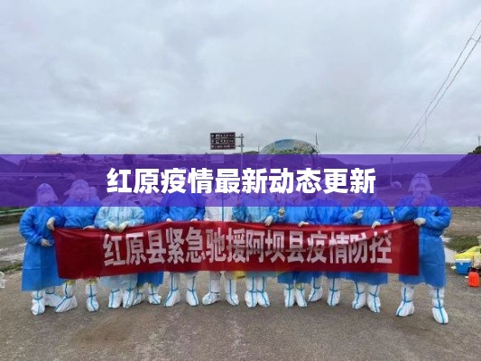 红原疫情最新动态更新