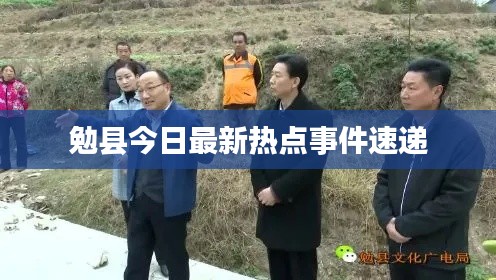 勉县今日最新热点事件速递