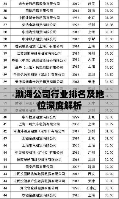渤海公司行业排名及地位深度解析