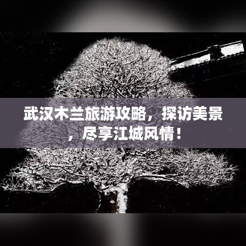 武汉木兰旅游攻略，探访美景，尽享江城风情！