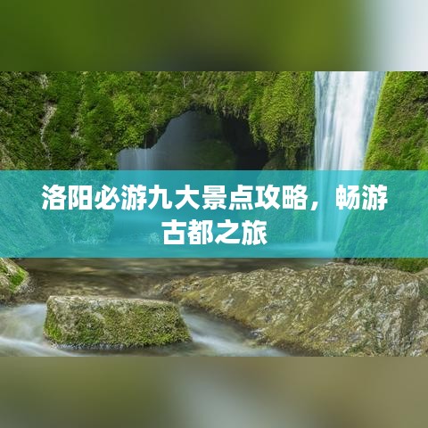 洛阳必游九大景点攻略，畅游古都之旅