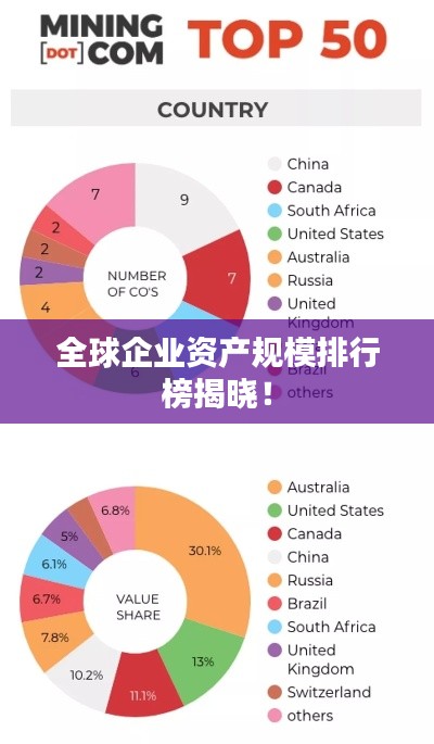 全球企业资产规模排行榜揭晓！