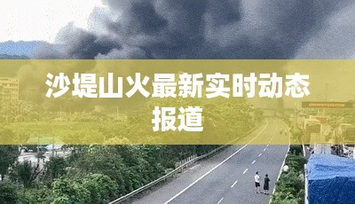 沙堤山火最新实时动态报道