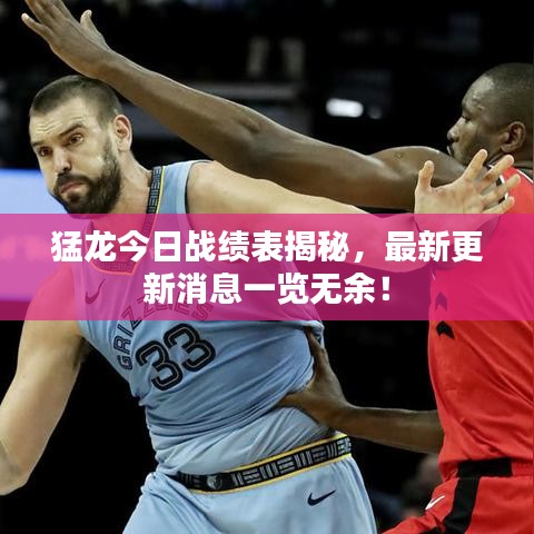 猛龙今日战绩表揭秘，最新更新消息一览无余！