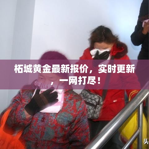 柘城黄金最新报价，实时更新，一网打尽！