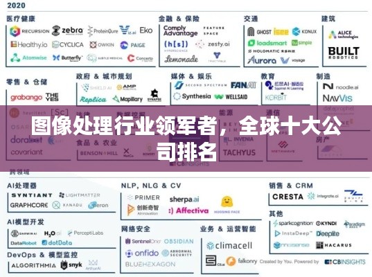 图像处理行业领军者，全球十大公司排名