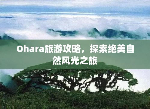 Ohara旅游攻略，探索绝美自然风光之旅
