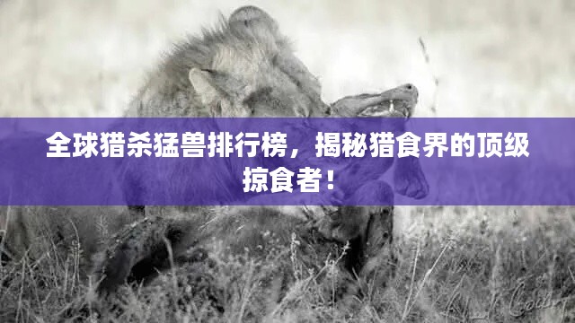 全球猎杀猛兽排行榜，揭秘猎食界的顶级掠食者！