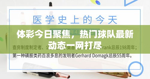 体彩今日聚焦，热门球队最新动态一网打尽