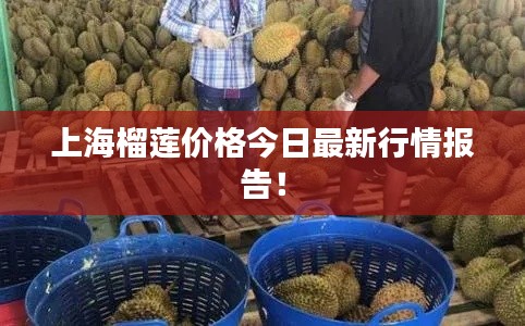 上海榴莲价格今日最新行情报告！